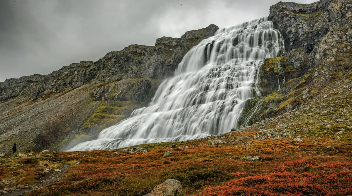Fjallfoss, the main waterfall in the Dynjandi cascade, with autumn vegetation in the foreground